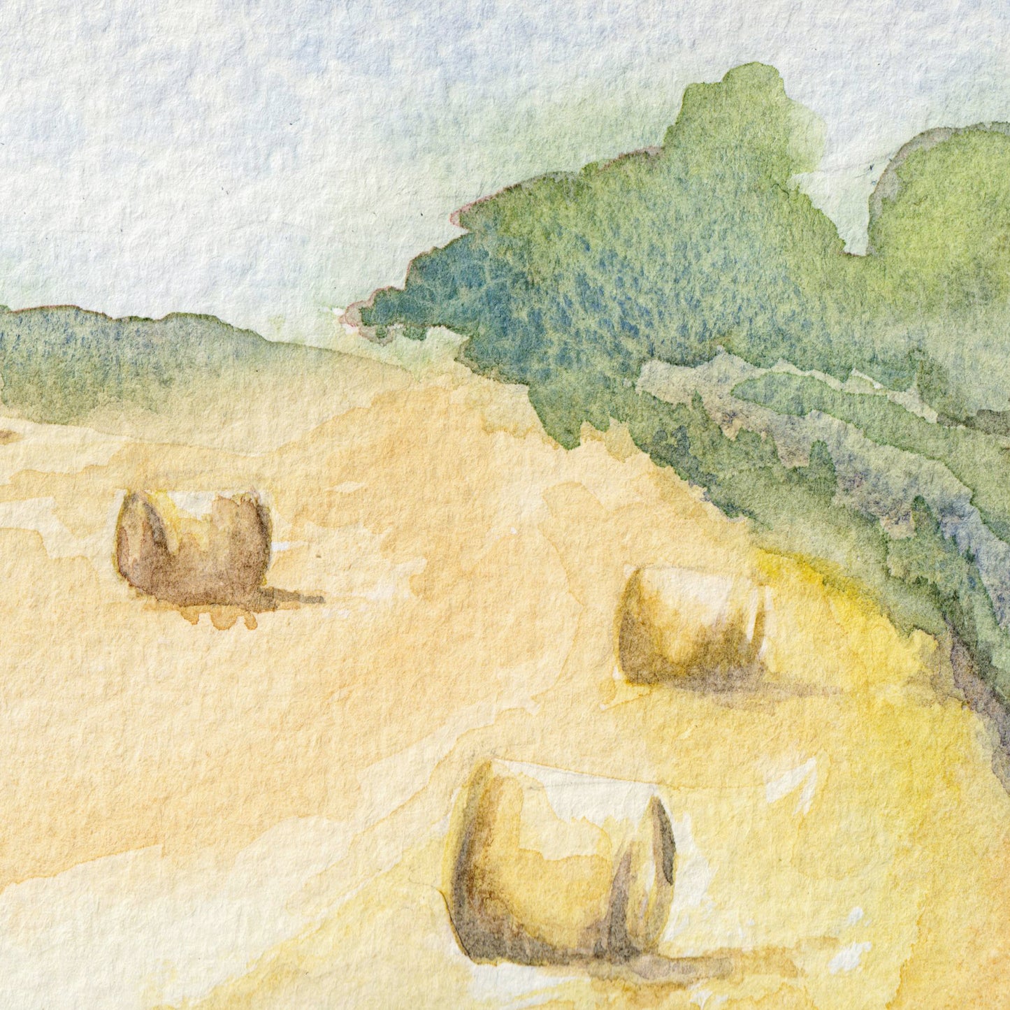Hay Bales in Wylam Field ~ Original Painting