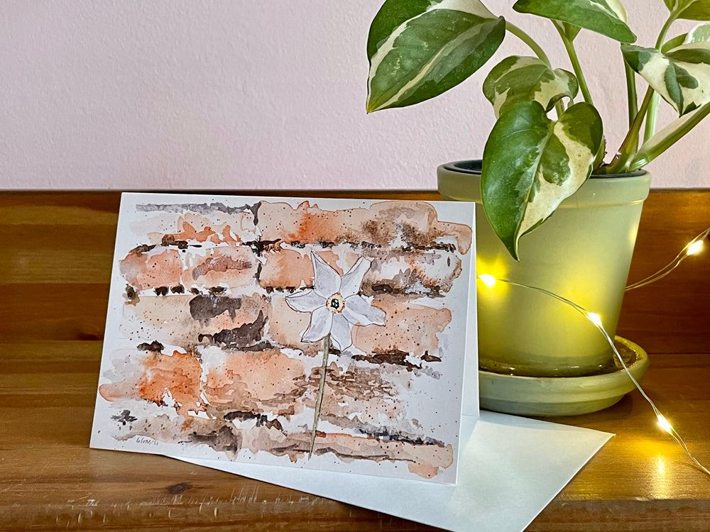 Narcissus Against a Wall