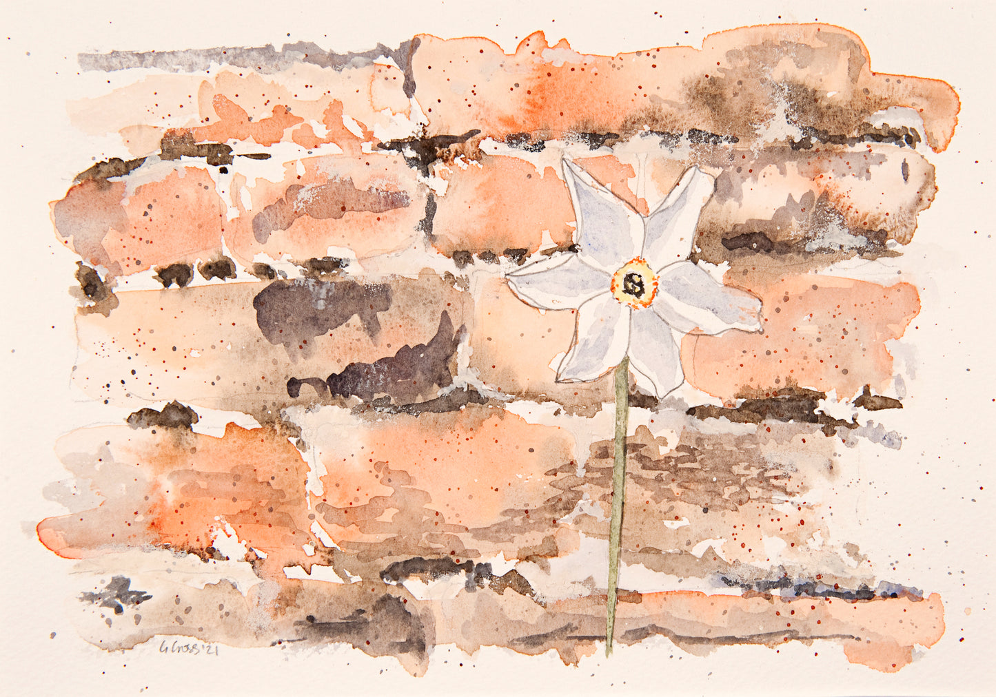 Narcissus Against a Wall