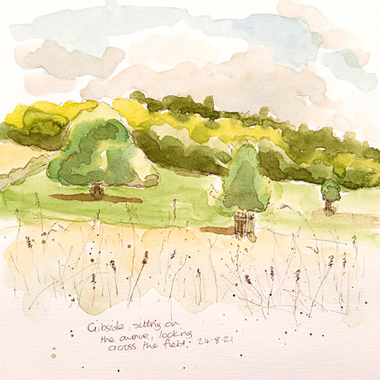 Gibside Field ~ Sketches Collection Greeting Card