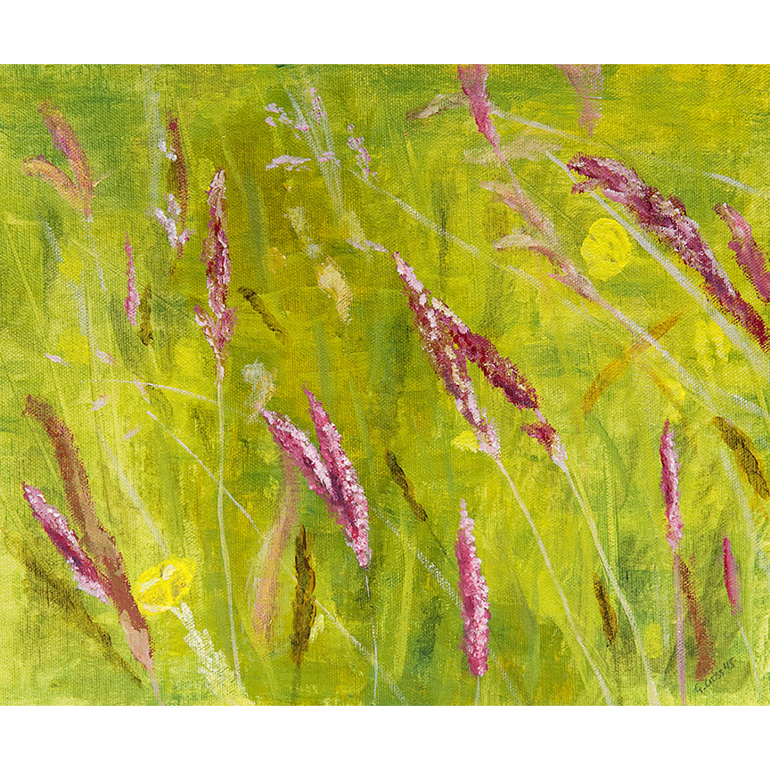 Grasses and Buttercups ~ Original