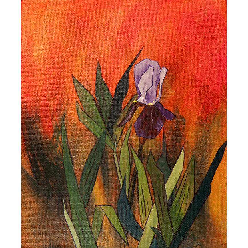 Purple Iris on Orange