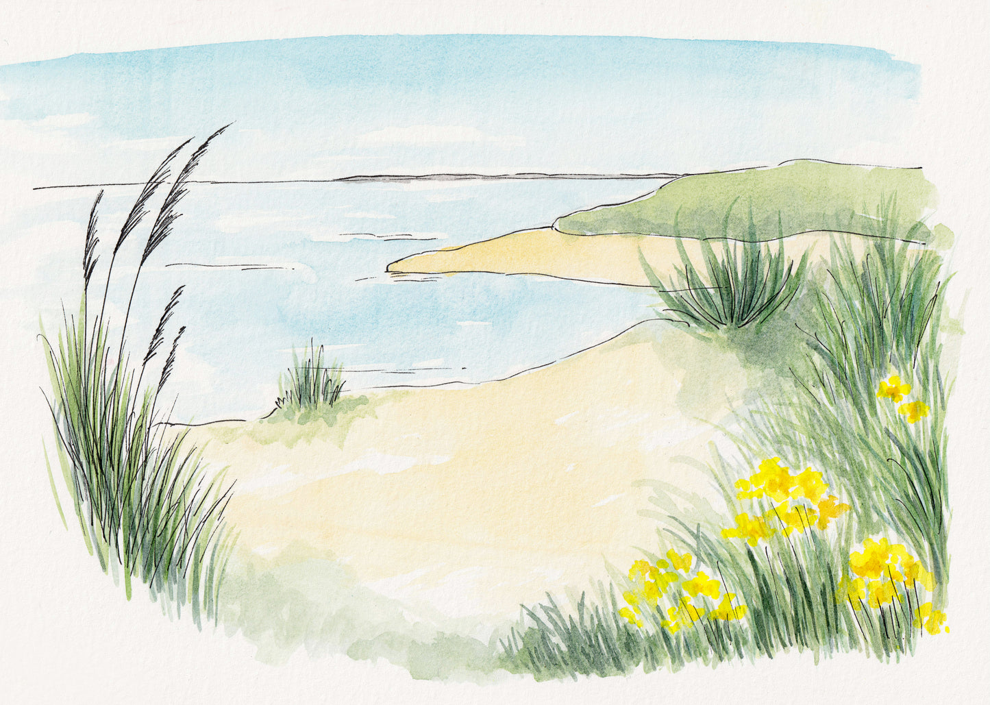 Alnmouth Beach ~ Yellow