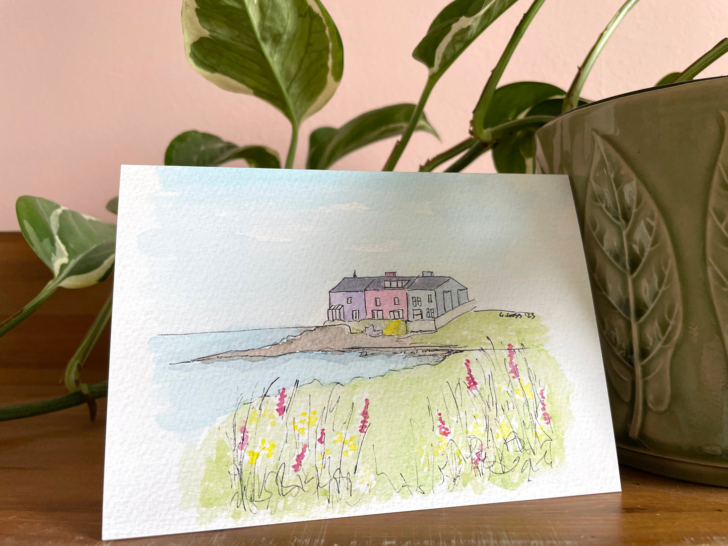 Amble Houses