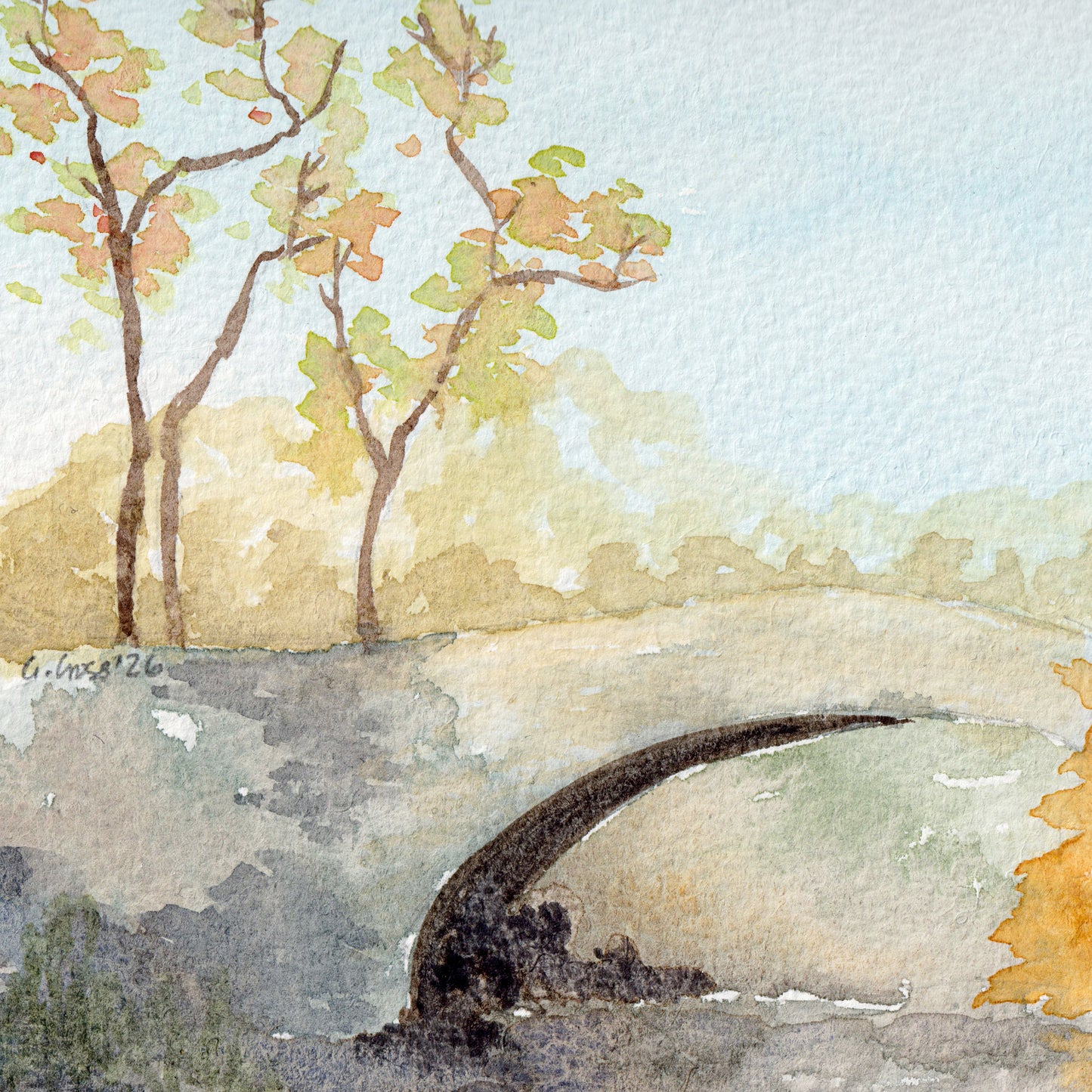 Autumn at Stainforth Foss ~ Original Painting