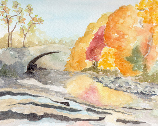 Autumn at Stainforth Foss