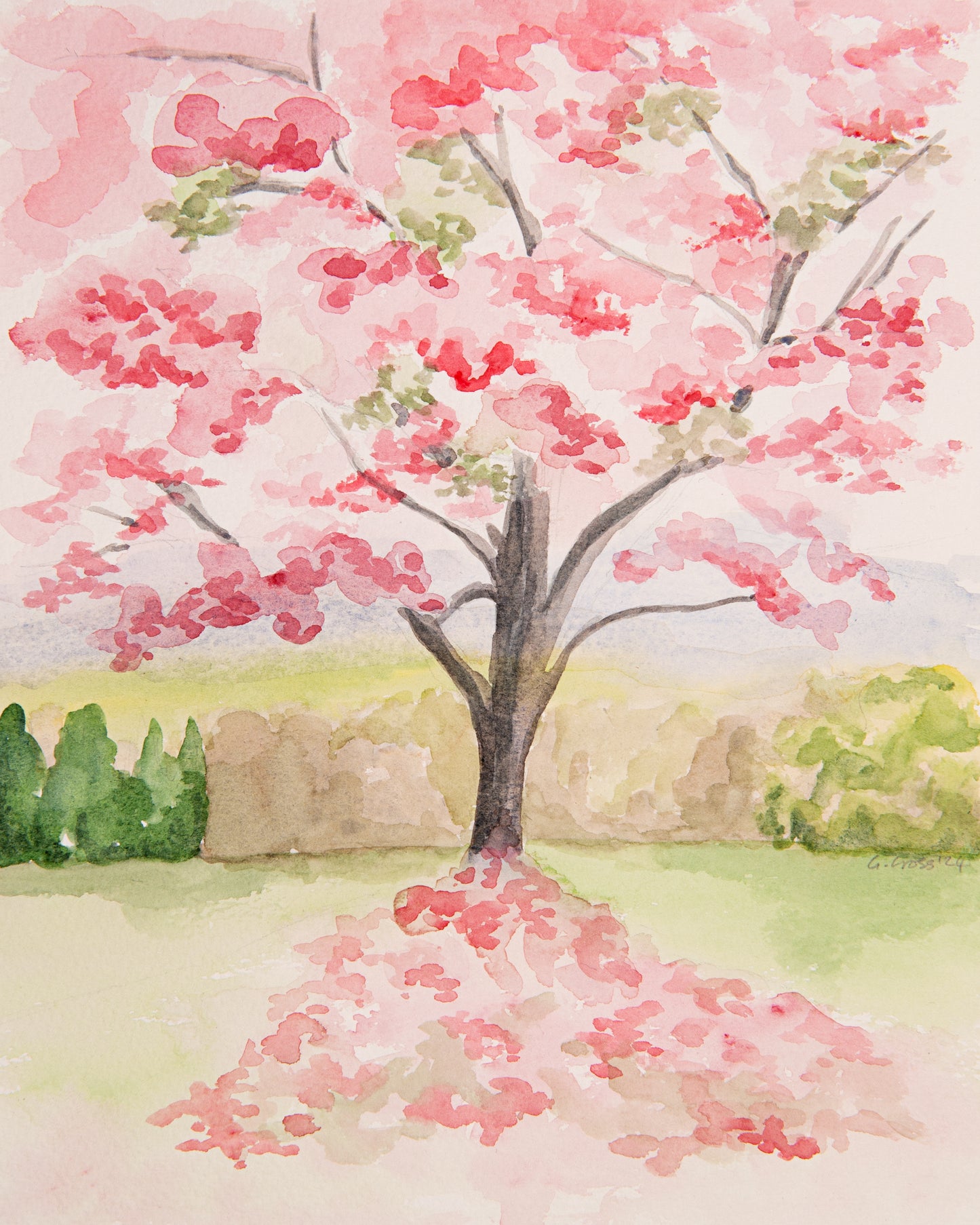 Cherry Blossom Tree~ Original Watercolour Painting