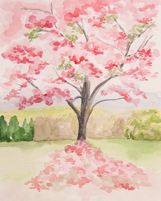 Cherry Blossom Tree~ Original Watercolour Painting