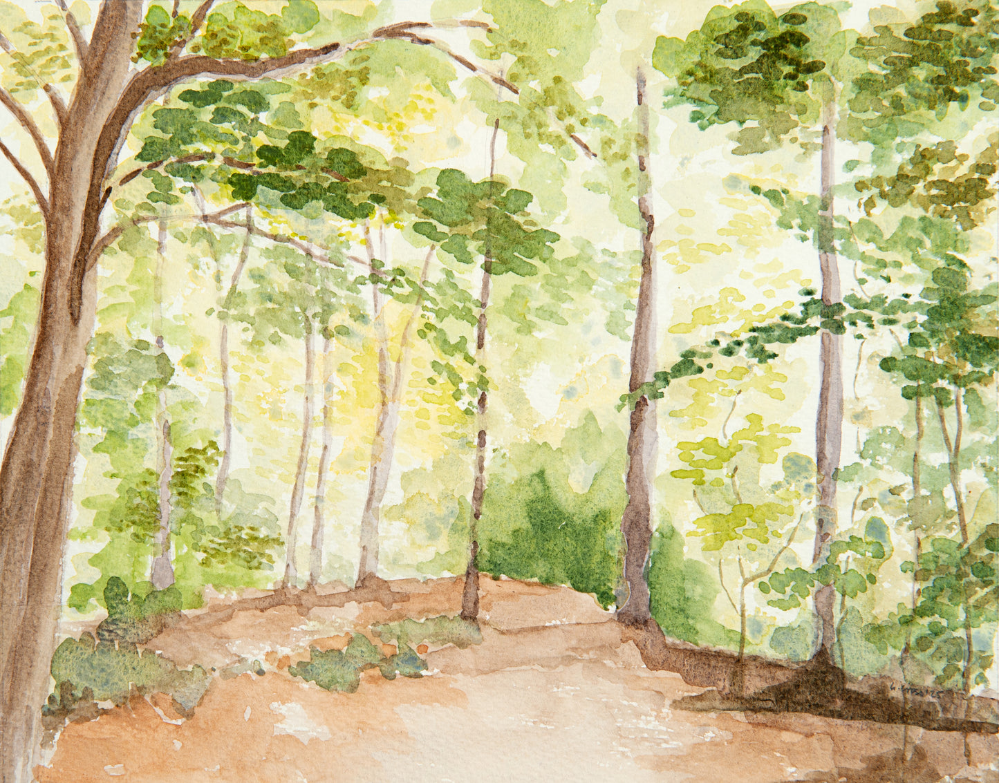 Chopwell Woods in September ~ Original Watercolour Painting