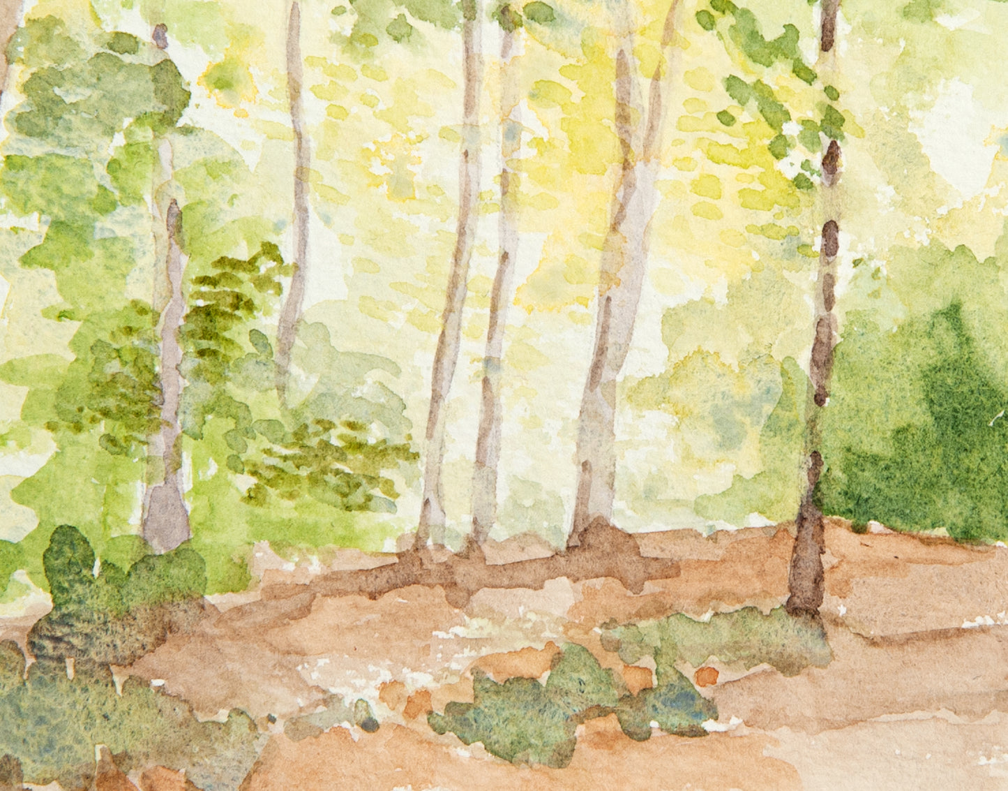 Chopwell Woods in September ~ Original Watercolour Painting