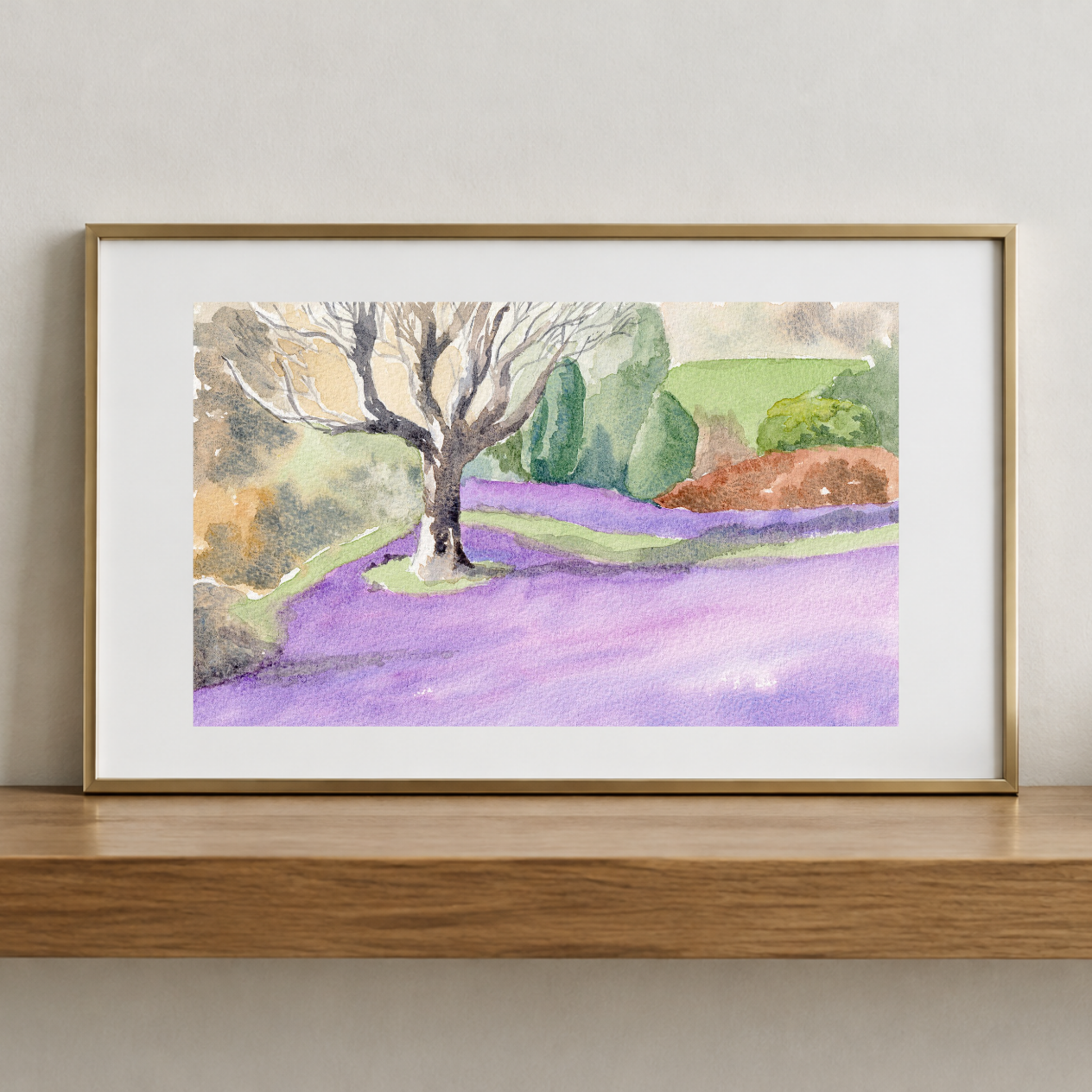 Crocuses at Wallington Hall