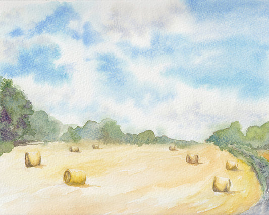 Hay Bales in Wylam Field ~ Original Watercolour Painting