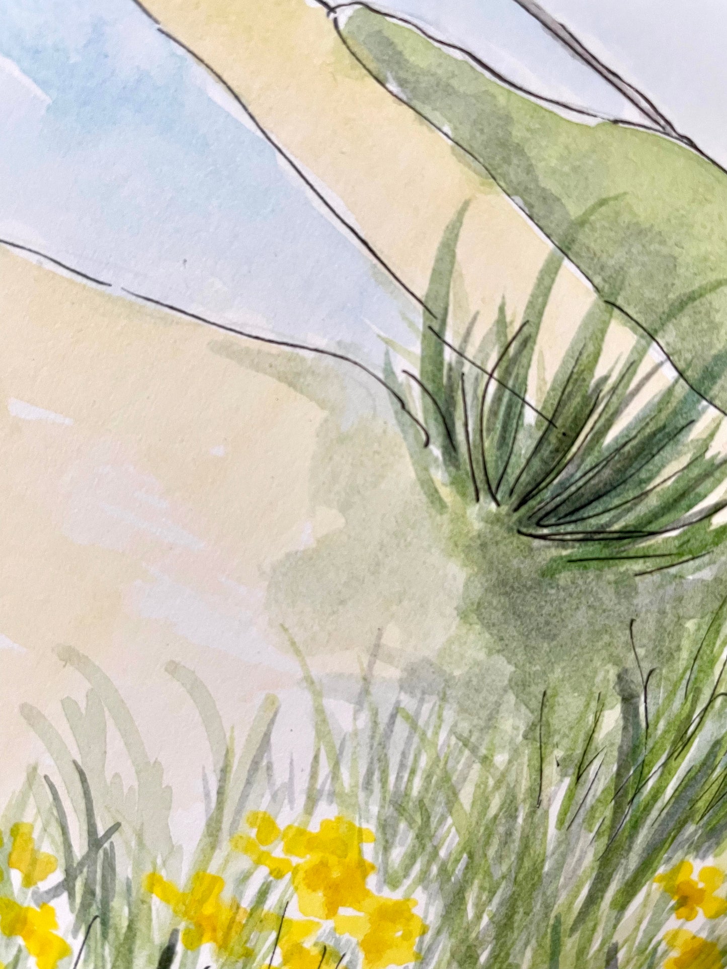 Alnmouth Beach ~ Yellow