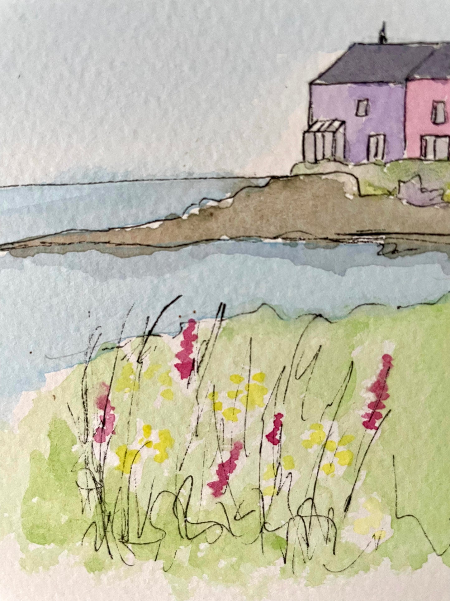 Amble Houses