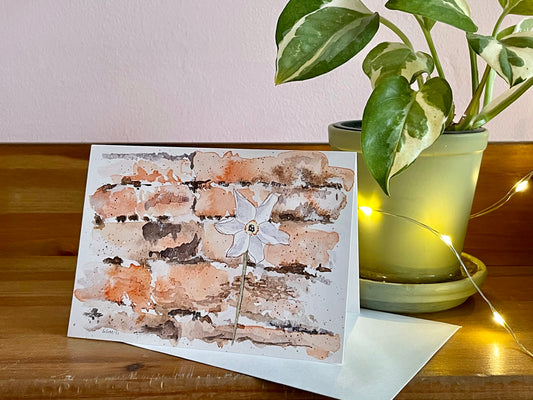 Narcissus Against a Wall