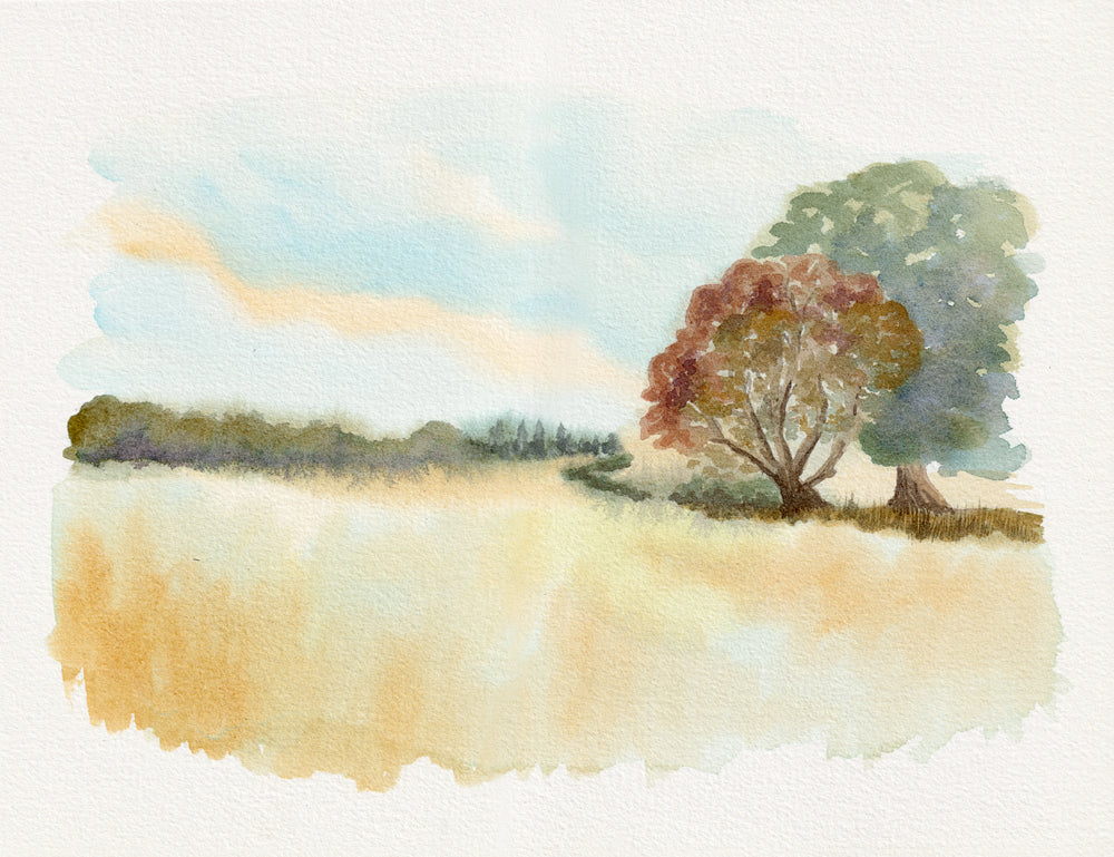 Watercolor landscape painting featuring a golden field, two trees with green and reddish-brown foliage, and a soft blue sky on textured white paper.