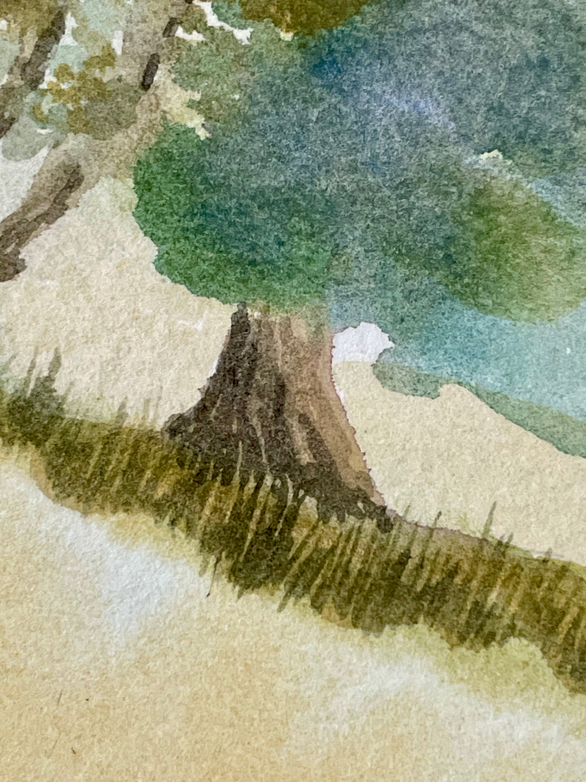 Watercolor painting detail of a tree trunk and foliage in shades of green, blue-green, brown, and beige paper.
