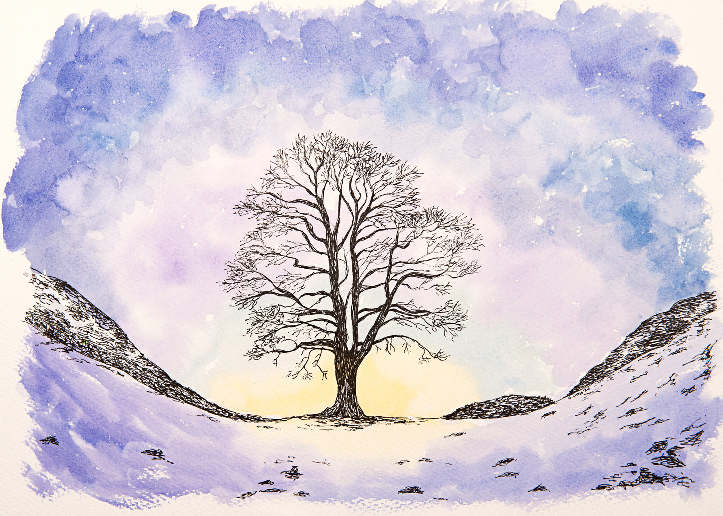 Winter at Sycamore Gap ~ Greeting Card