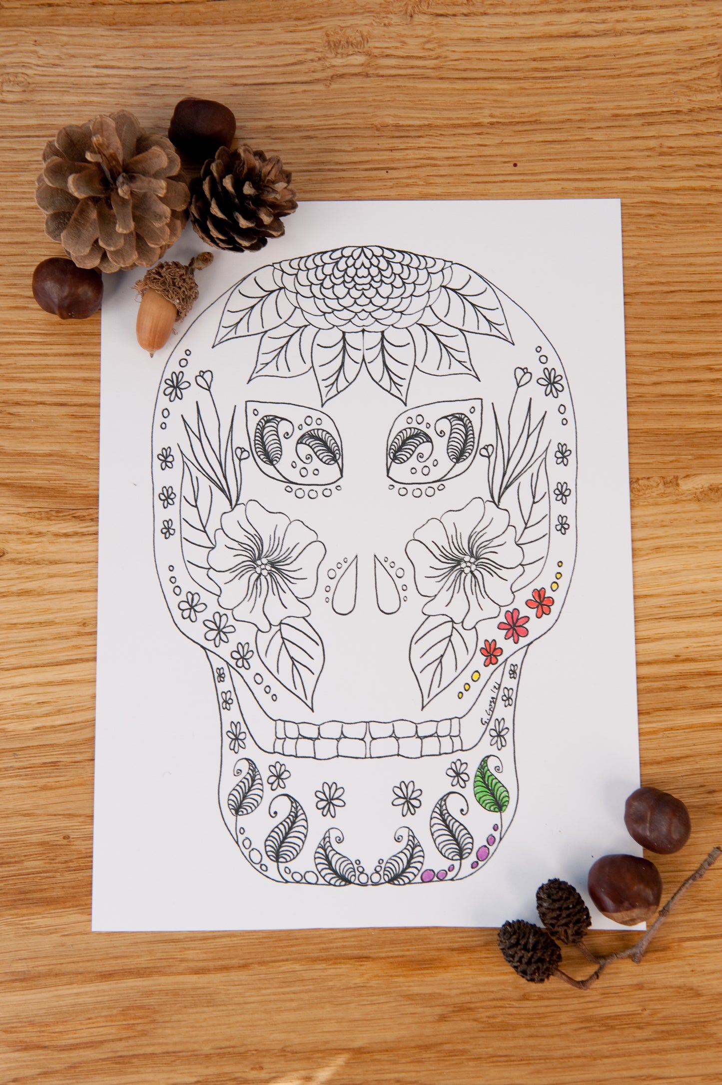 Halloween Colouring Pages Day of the Dead Instant Download