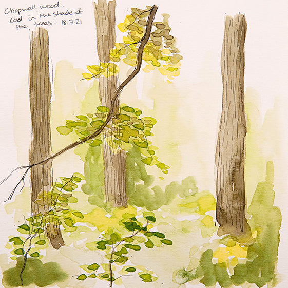 Chopwell Woods ~ Sketches Collection Greeting Card