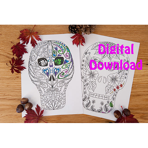 Halloween Colouring Pages Day of the Dead Instant Download