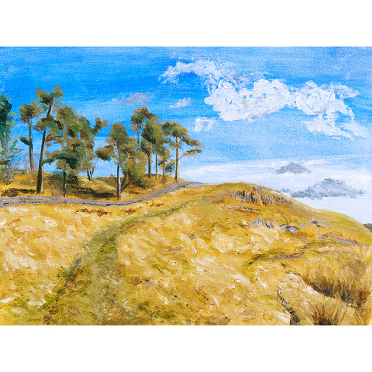 Hadrian's Wall Country ~ Greeting Card