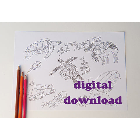 Sea Turtles Colouring Page Instant Download