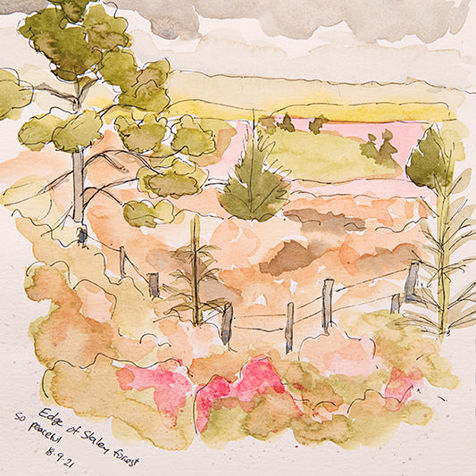 Slaley Forest ~ Sketches Collection Greeting Card