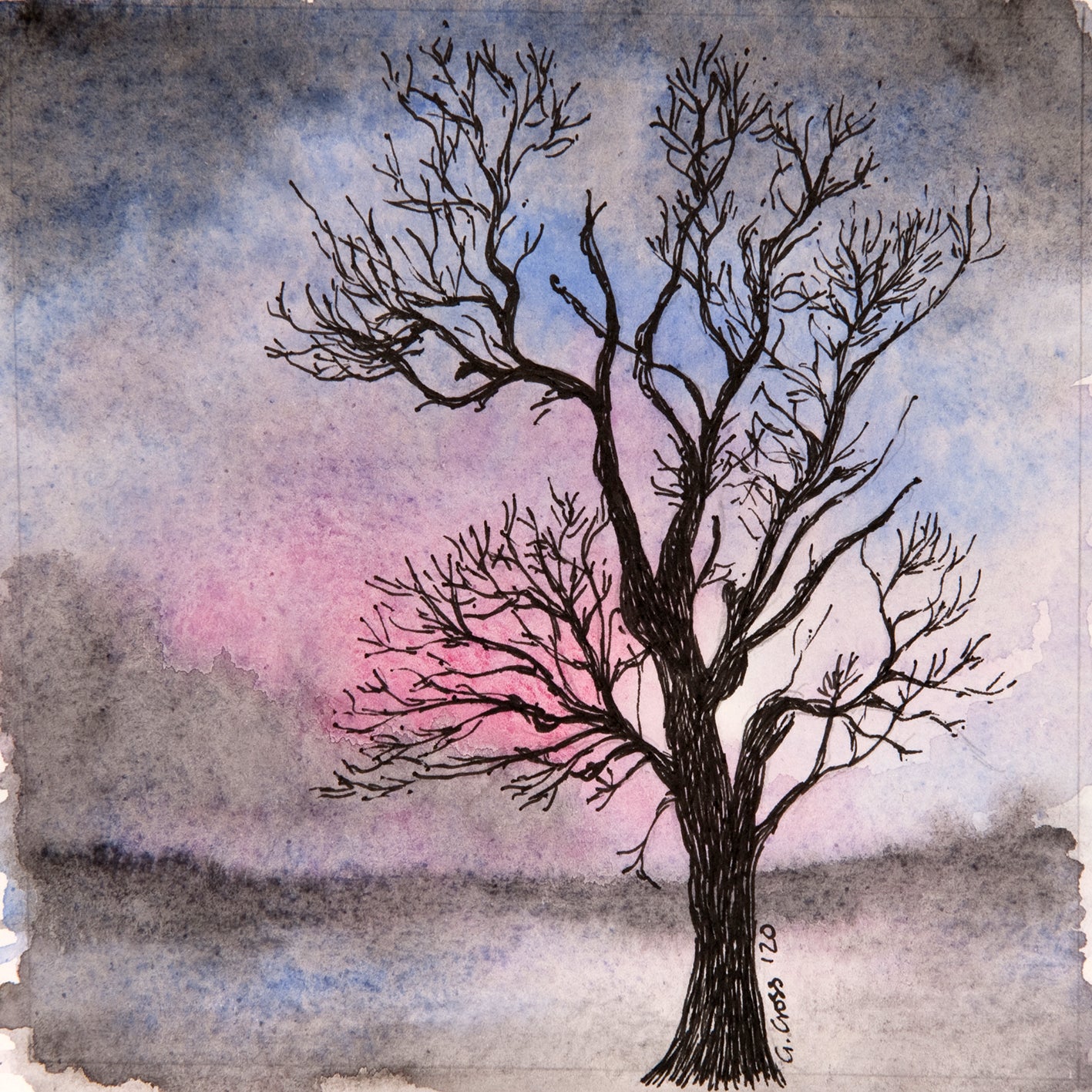 Winter Tree #3 ~ Greeting Card